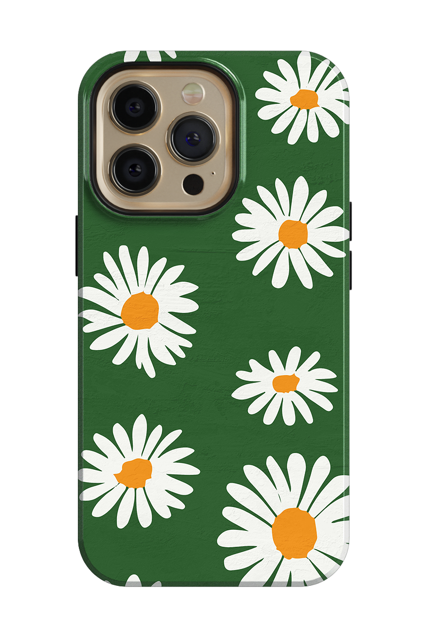 Daisies