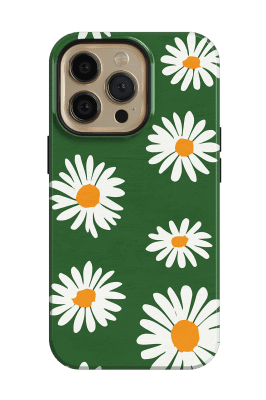 Daisies