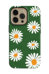 Daisies